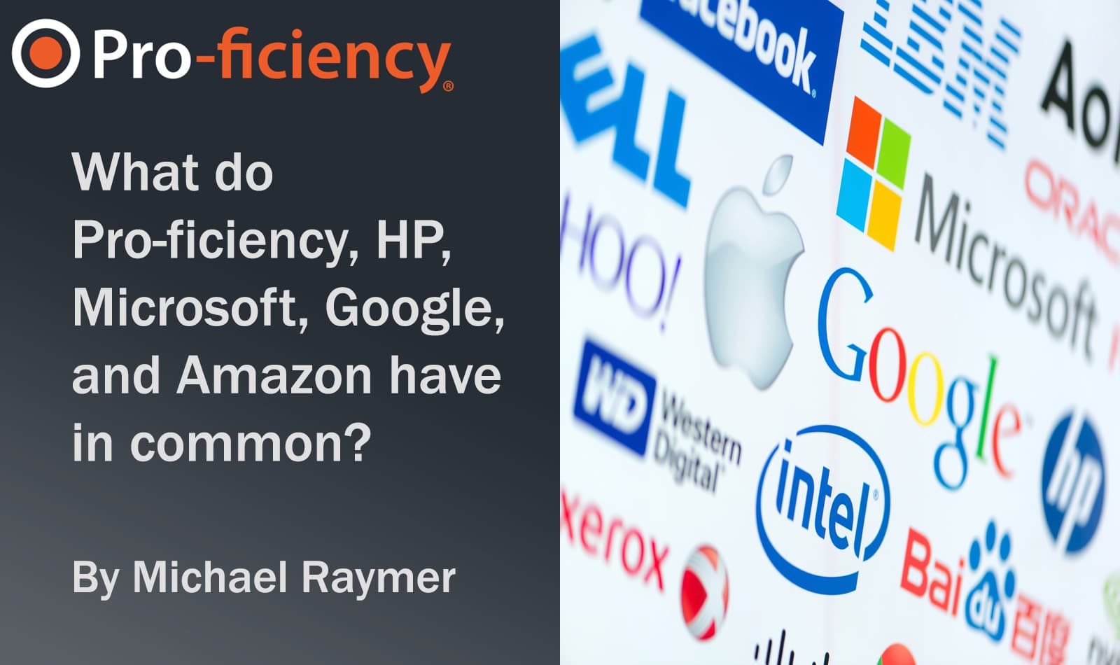What does Pro-ficiency have in common with HP, Microsoft, Google and Amazon?